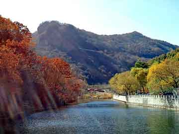 正版澳门天天开彩大全，印度海娜花洗发水